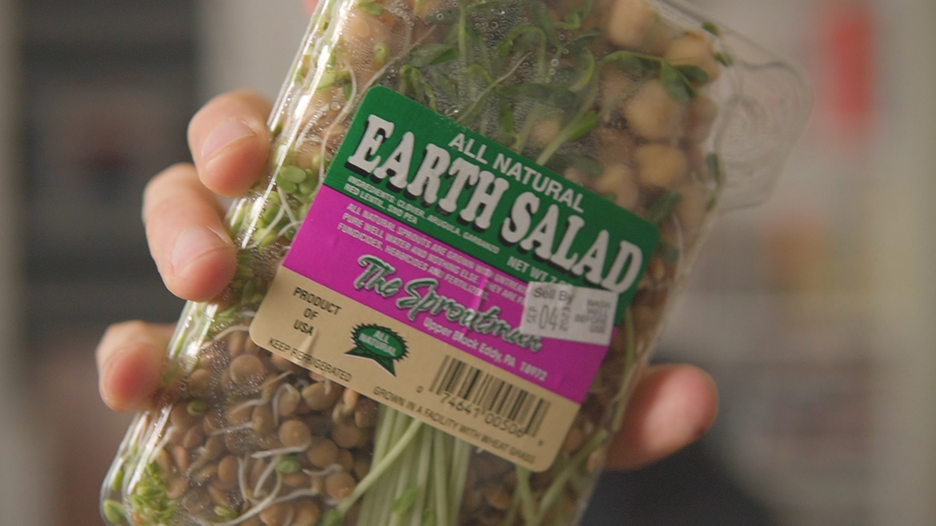 Earth Salad Voiceover