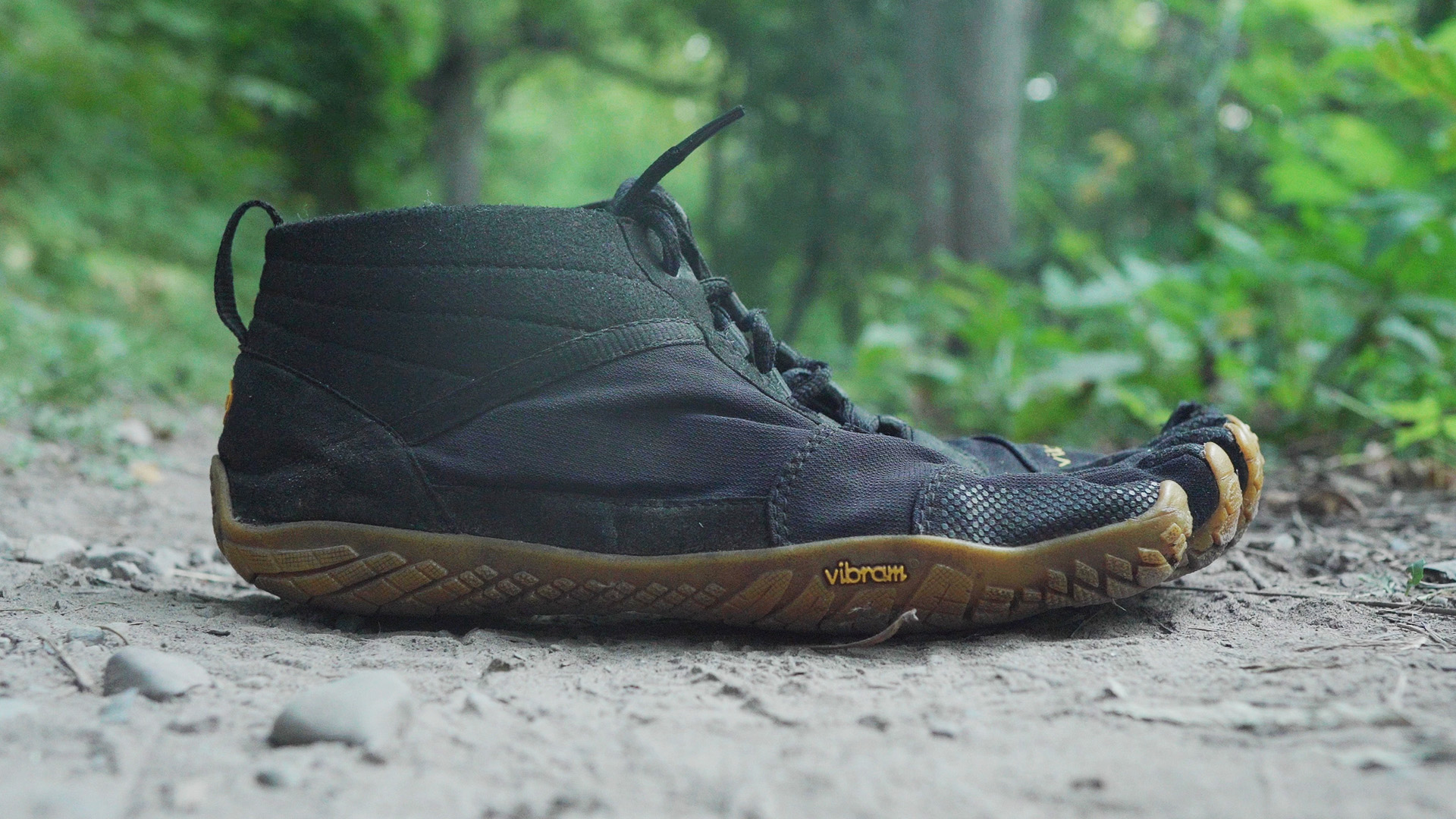 Vtrek Thumbnail