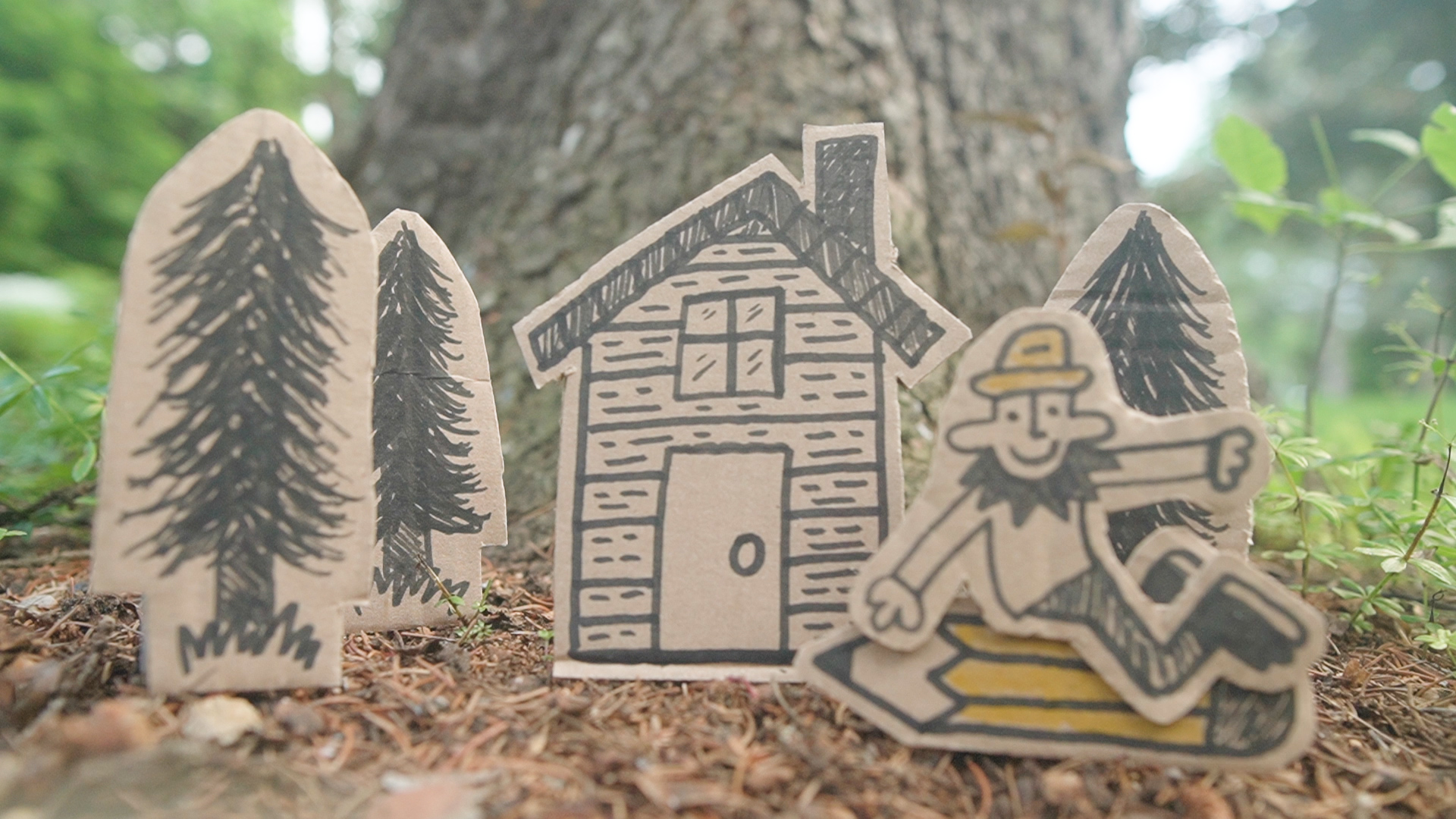 Carboard Cabin Woods