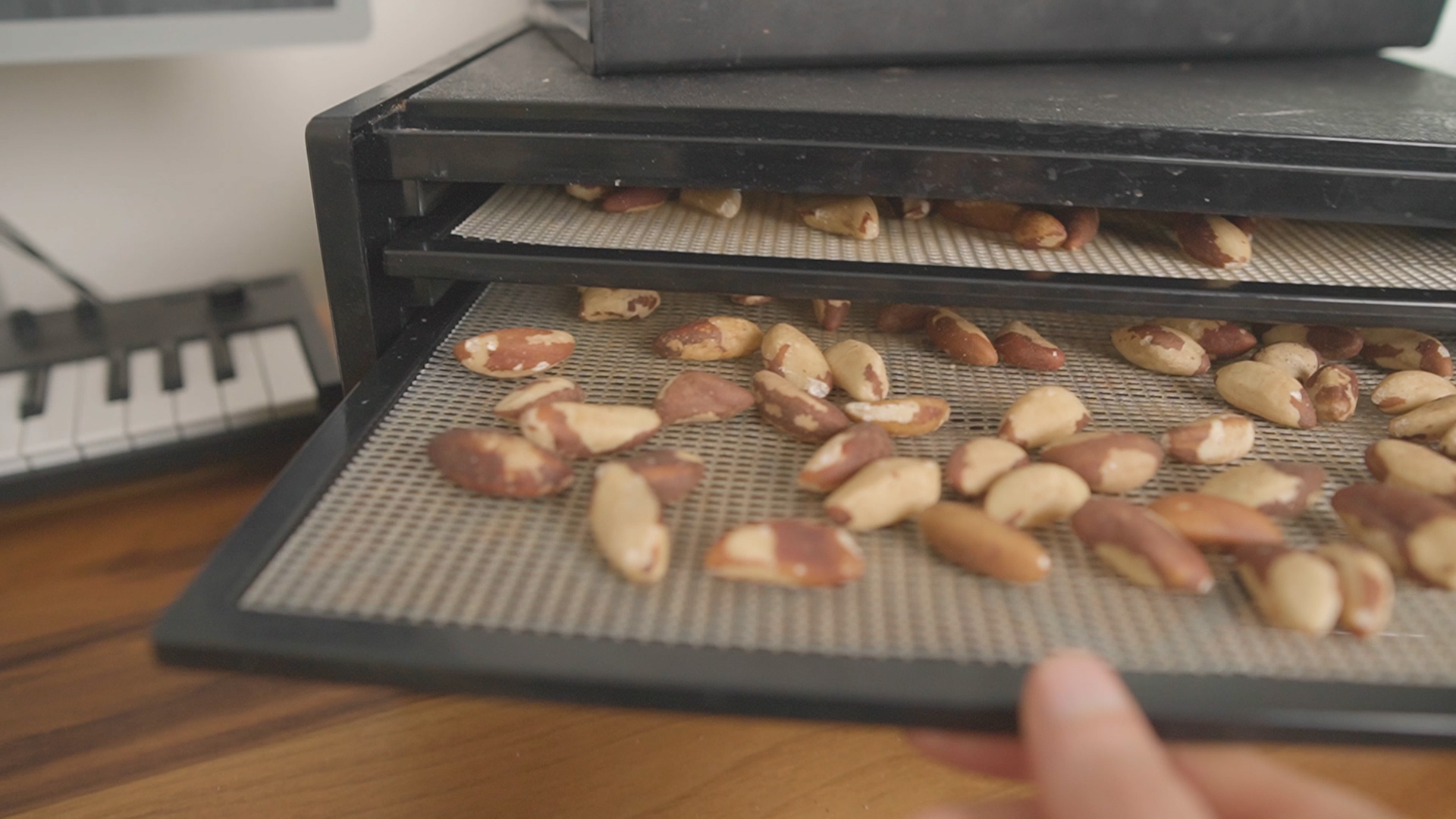 Brazil Nuts Dehydrator Tray Dry