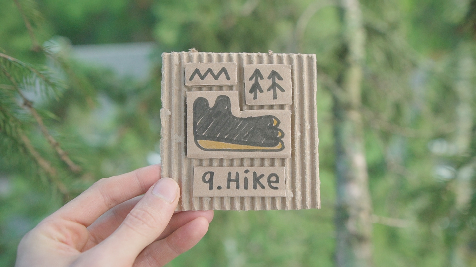 Pine Challenges 9 Hike