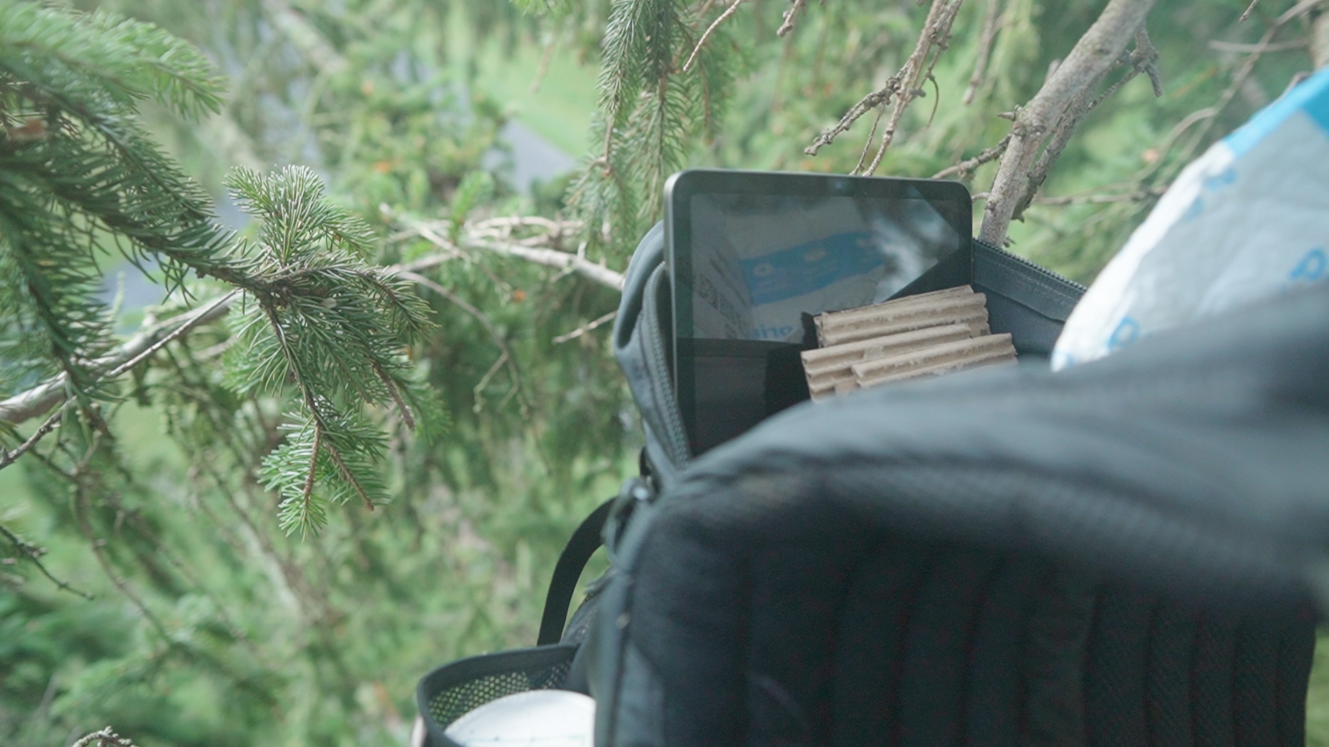 Pine Backpack Ipad